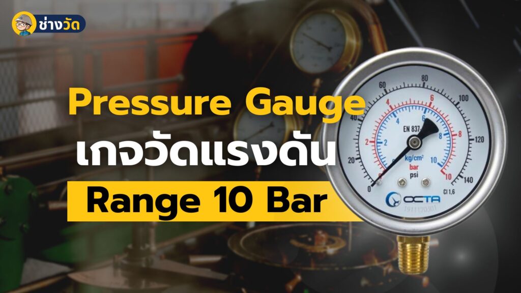 pressure gauge 10 bar