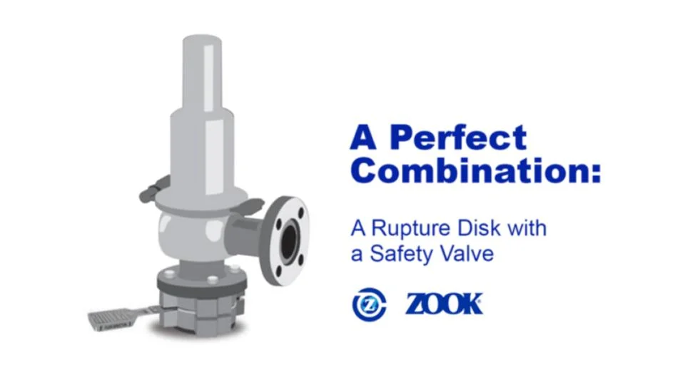 ZOOK คือแบรนด์ผู้ผลิต Rupture Disk
